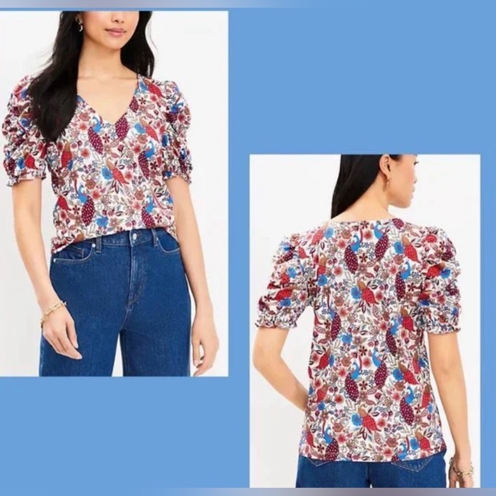LOFT Peacock Ruffle Cinched Sleeve V-Neck Top Sz XXL